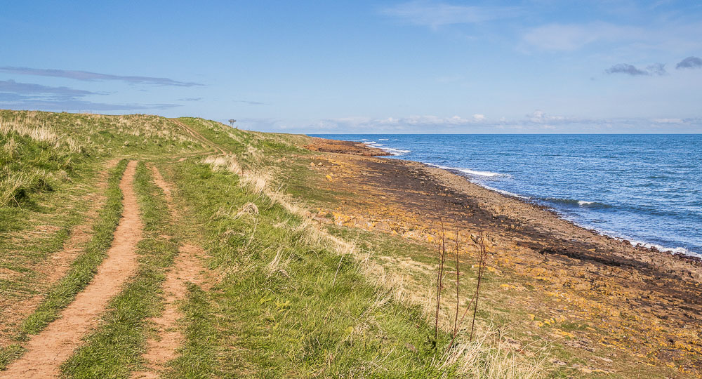 Newton Point